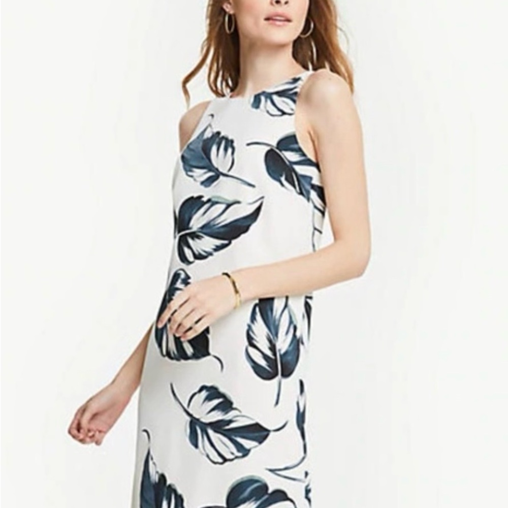 Ann Taylor Cream Palm Leaf Dress Size 0P